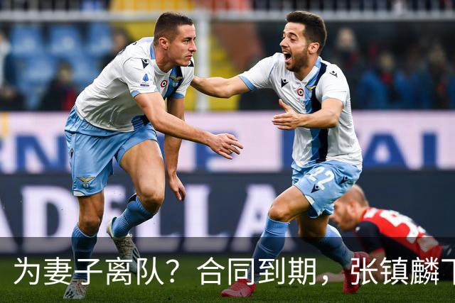 为妻子离队？合同到期，张镇麟下家4选1，广东2队有机会