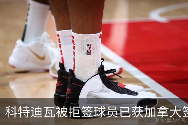 科特迪瓦被拒签球员已获加拿大签证 有望登场出战德国