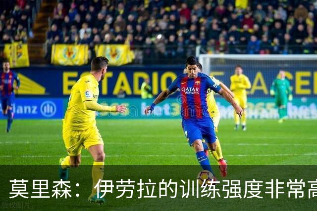 莫里森：伊劳拉的训练强度非常高 我离一线队水平没想的那么远