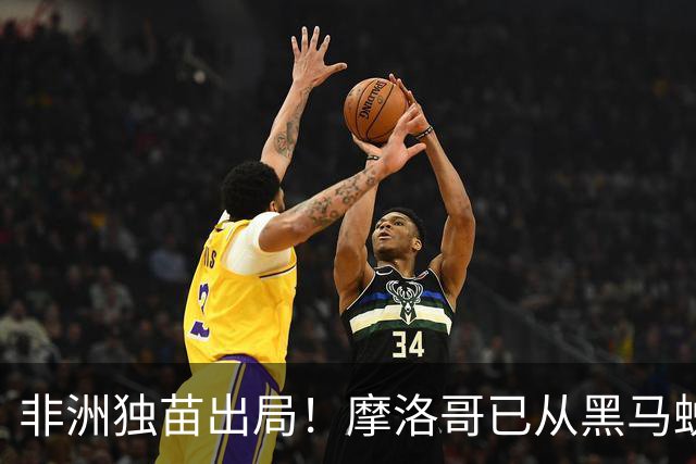 非洲独苗出局！摩洛哥已从黑马蜕变为劲旅 四年后主场见